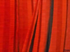 violent anal sex and forced blowjobs are featured in these brutal rape porn videos.